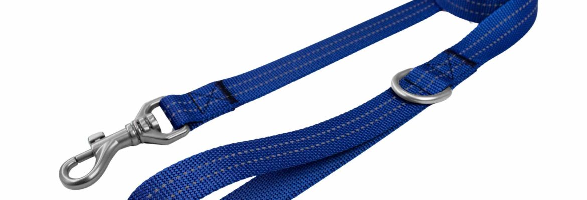 20mm Reflektierende Hundeleine