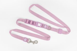 25mm Powder Freihand Hundeleine