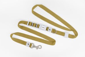 Einfache Freihand-Hundeleine