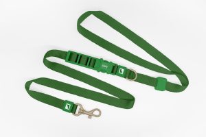 Einfache Freihand-Hundeleine Grün