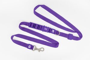 Lila Freihand Hundeleine