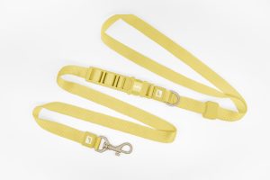 25mm Basis Freihand Hundeleine