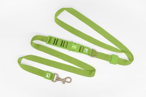 Grüne Freihand-Hundeleine