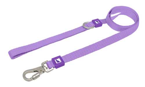 Einfach Leine zum freihändigen Führen des Hundes