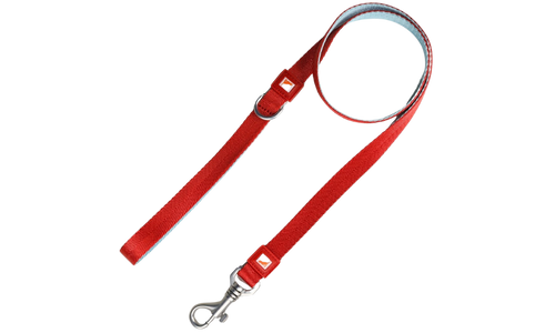 Robuste Freihand-Hundeleine