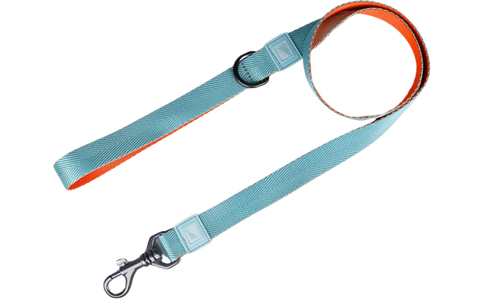 Strapazierfähige Hundeleine