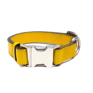 Senfgelbes Leder-Hundehalsband
