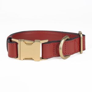 Rotes Leder-Hundehalsband