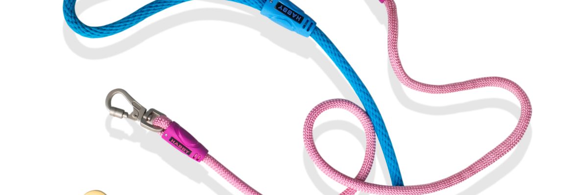 Seil-Hundeleine