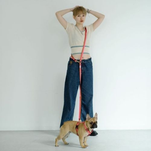 Reflektierende freihändige Hundeleine