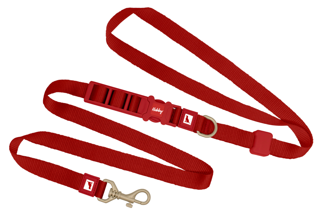 Freihändige Hundeleine