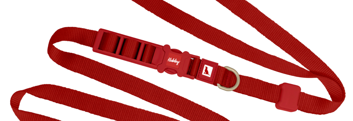 Freihändige Hundeleine