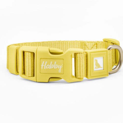 Buttergelbes Hundehalsband